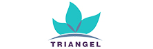 Triangel: From Validated Science to Dependable Clinical Platforms