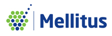 Mellitus - Top Emerging Diabetes Care Companies Mellitus