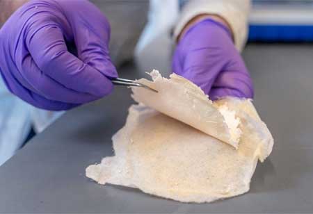 Innovations in Orthopedics: Meeting the Demands of a Changing Healthcare Environment